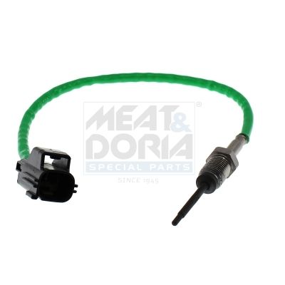 Sensor Abgastemperatur