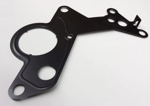Dichtung Kraftstoffpumpe