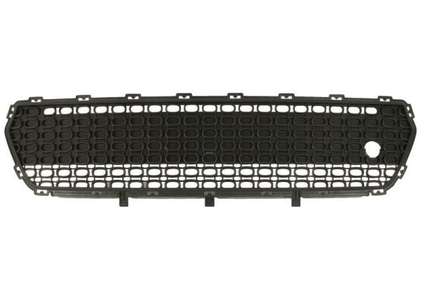 Stoßstange Gitter