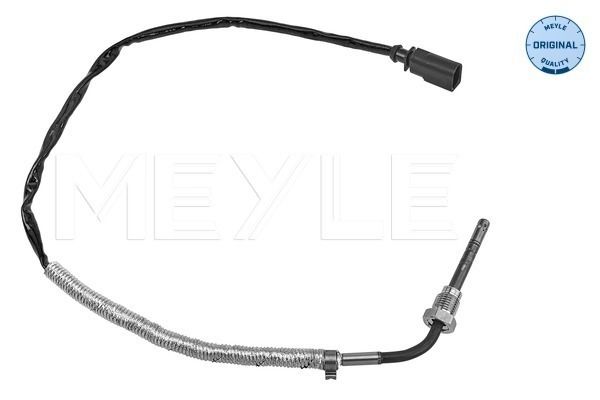 Sensor Abgastemperatur