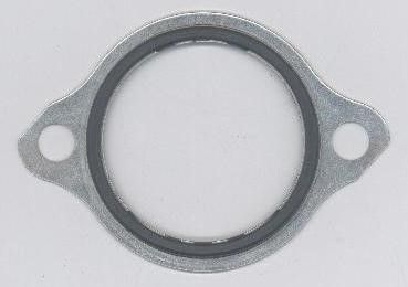 Dichtung Thermostat