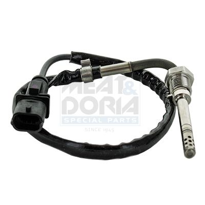 Sensor Abgastemperatur
