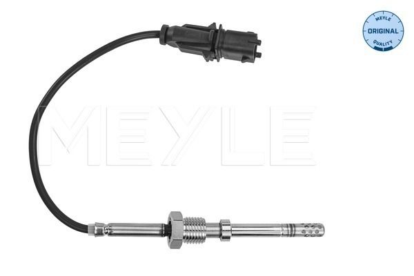 Sensor Abgastemperatur