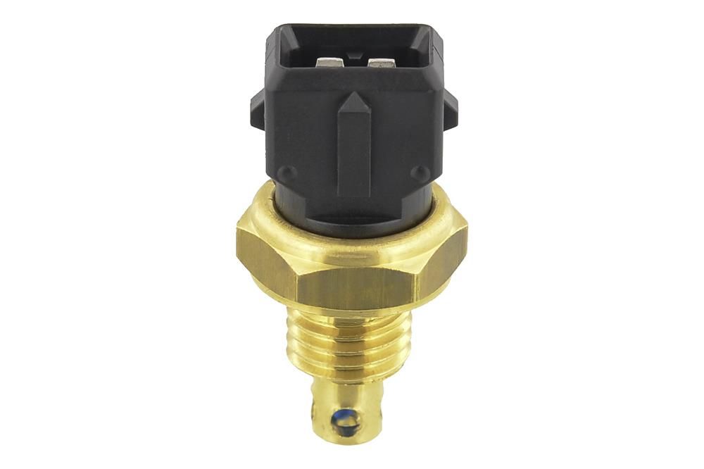 Sensor Ansauglufttemperatur