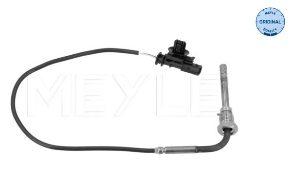 Sensor Abgastemperatur