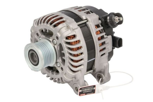 Lichtmaschine Generator
