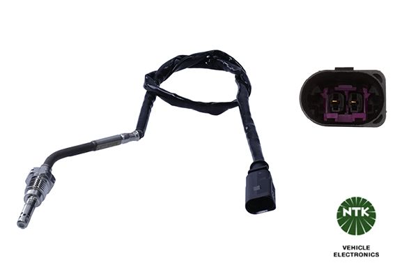 Sensor Abgastemperatur