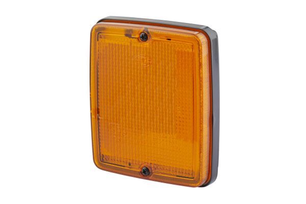 Blinker Blinkleuchte