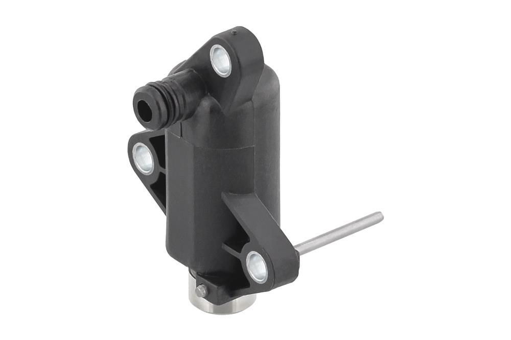 Spanner Steuerkette