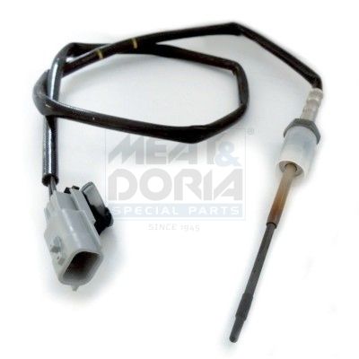 Sensor Abgastemperatur
