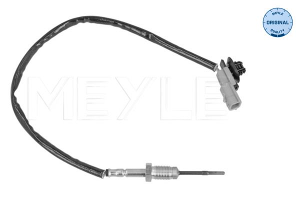 Sensor Abgastemperatur