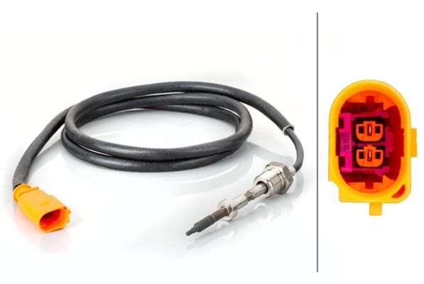 Sensor Abgastemperatur