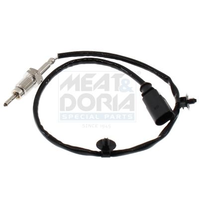 Sensor Abgastemperatur