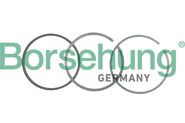 Kolbenring Satz Kolbenringe