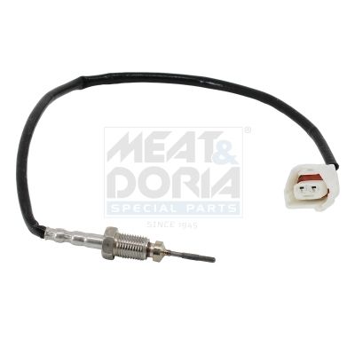 Sensor Abgastemperatur