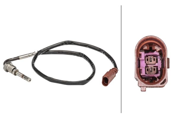 Sensor Abgastemperatur