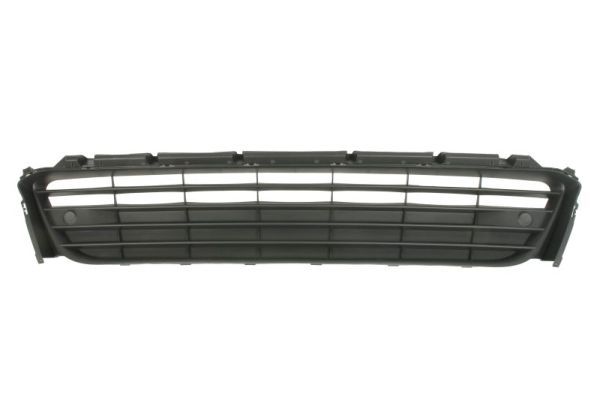 Stoßstange Gitter