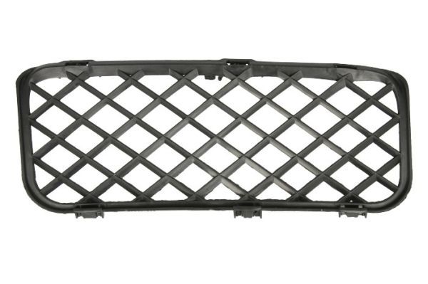 Stoßstange Gitter