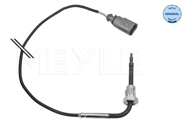 Sensor Abgastemperatur