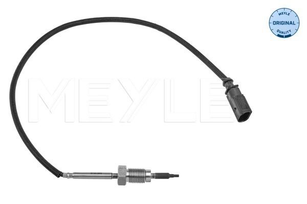 Sensor Abgastemperatur