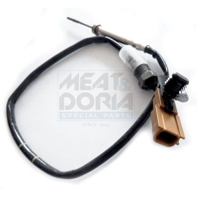 Sensor Abgastemperatur