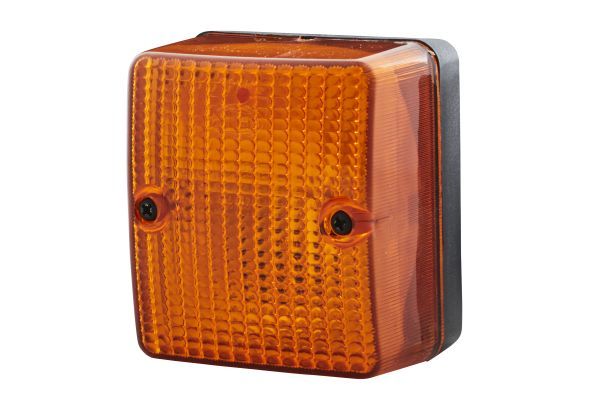 Blinker Blinkleuchte