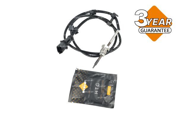 Sensor Abgastemperatur