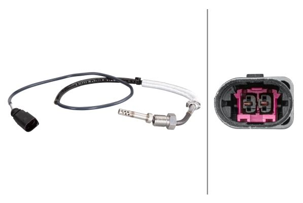 Sensor Abgastemperatur