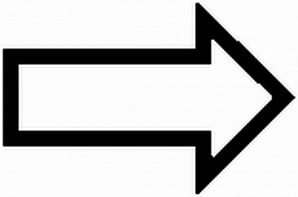 Schild