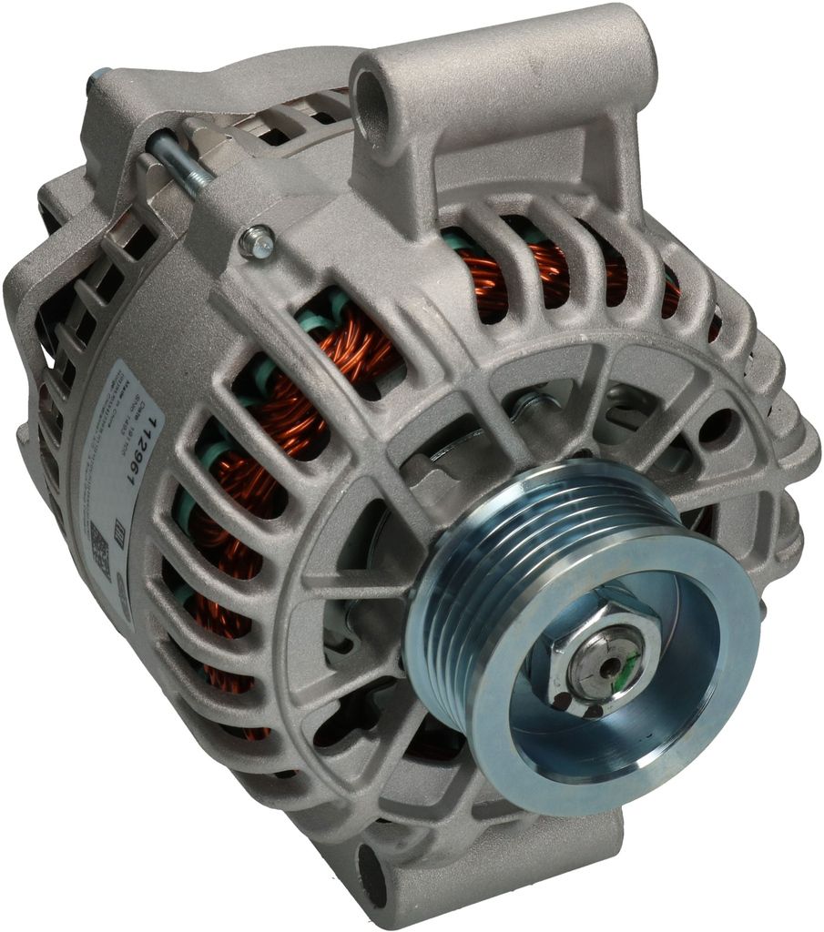 Lichtmaschine Generator