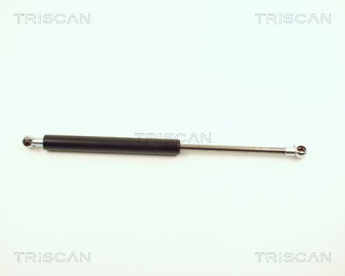 Set: 2 × Gasfeder
