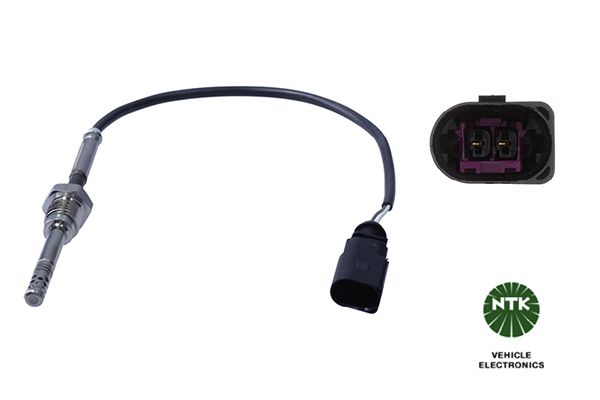 Sensor Abgastemperatur