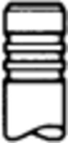 Einlassventil