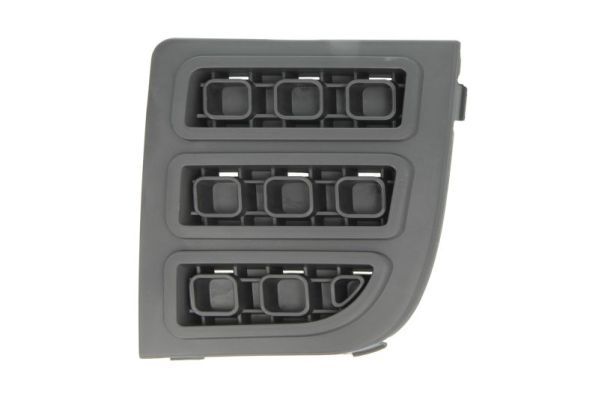 Stoßstange Gitter