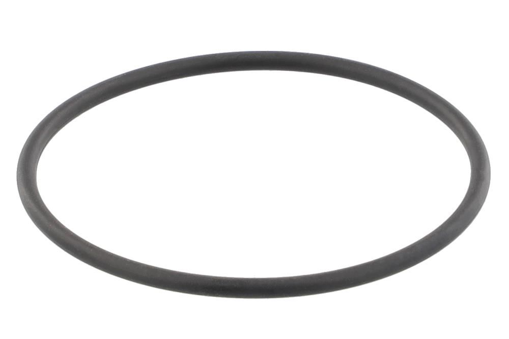 Dichtung Thermostat