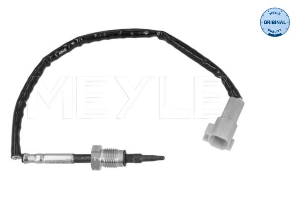 Sensor Abgastemperatur
