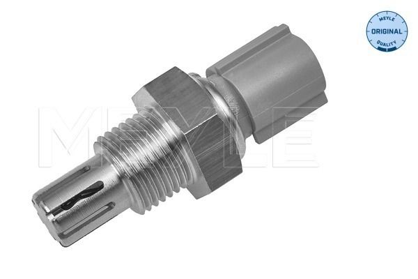 Sensor Ansauglufttemperatur
