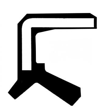Wellen Dichtring Differential