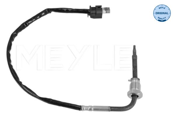Sensor Abgastemperatur