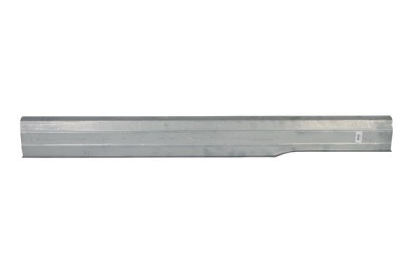 Einstiegsblech Schweller
