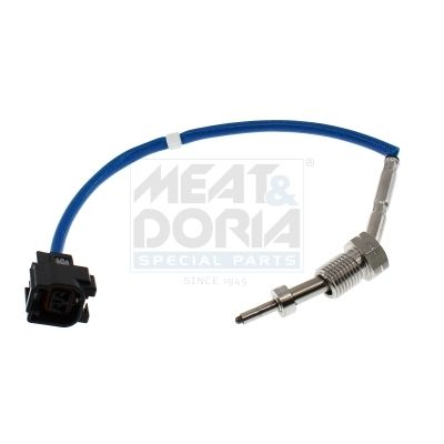 Sensor Abgastemperatur