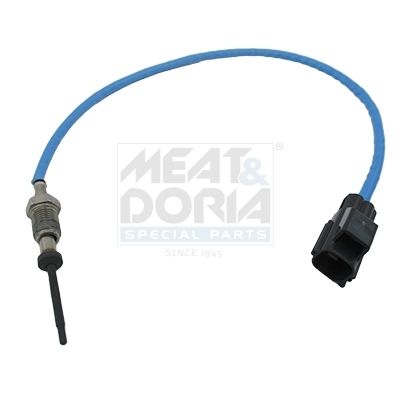 Sensor Abgastemperatur