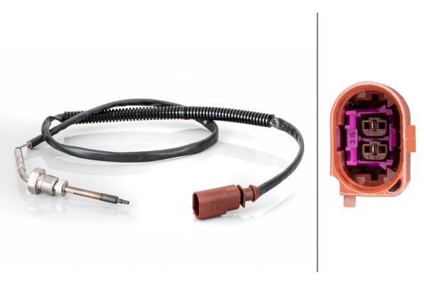 Sensor Abgastemperatur