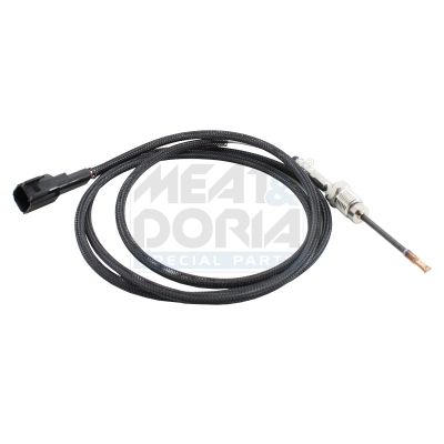 Sensor Abgastemperatur