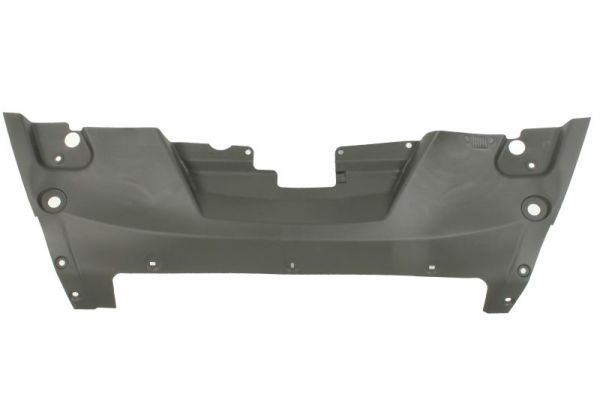 Frontmaske Frontgerüst Schloßträger