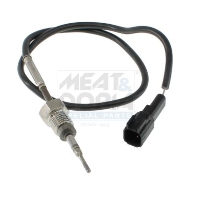 Sensor Abgastemperatur