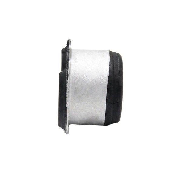 Querlenker Silentblock hinten