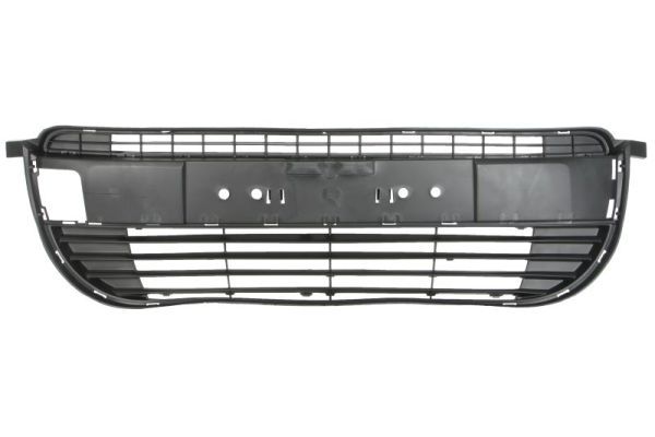 Stoßstange Gitter