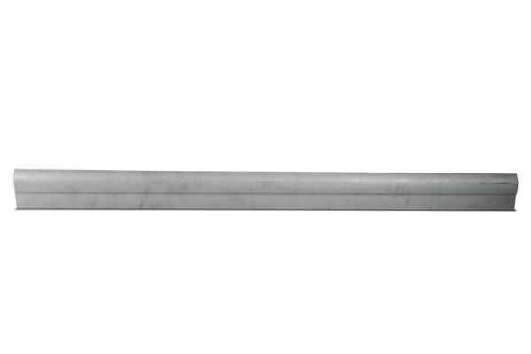 Einstiegsblech Schweller