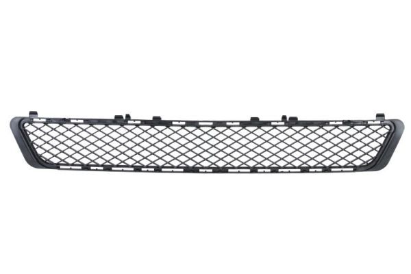 Stoßstange Gitter